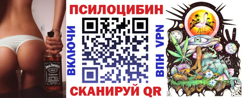 Купить где  Коммунар  Галлюциногенные грибы Cubensis 